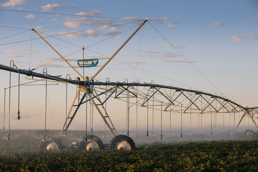 Valley 8000 series pivot spraying water over a crop field at golden hour